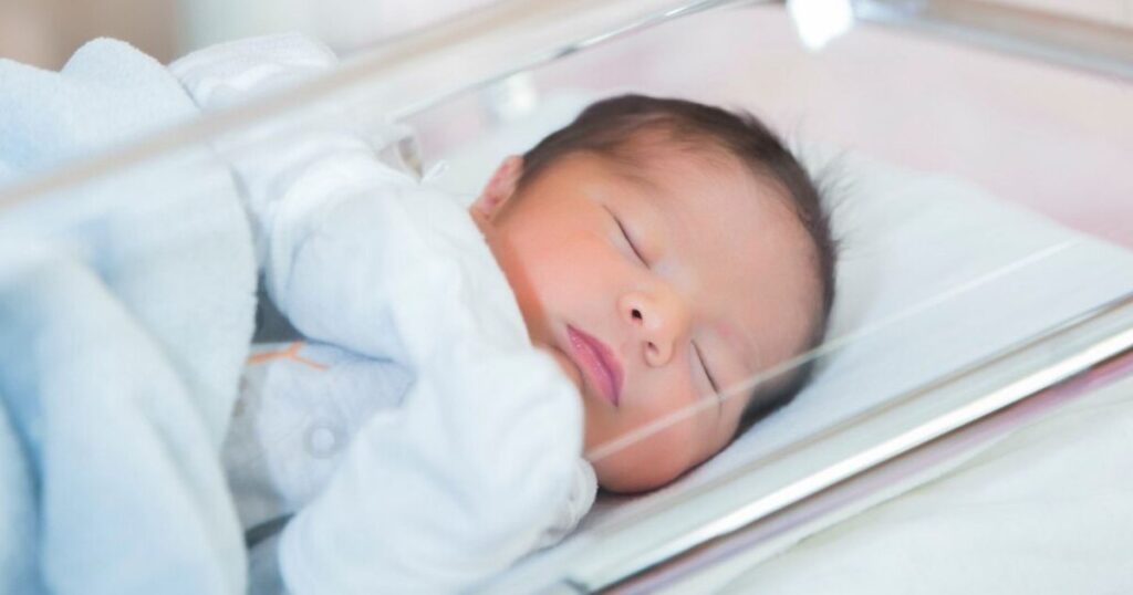 Cara Merawat Bayi Prematur