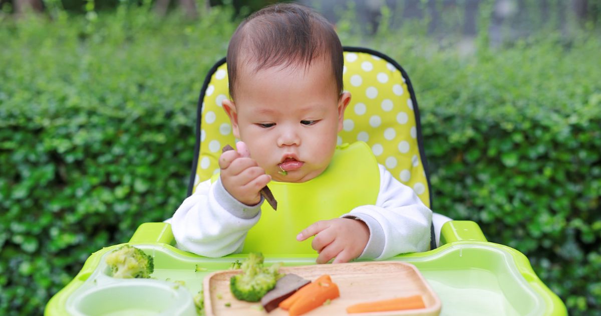 Baby Led-Weaning